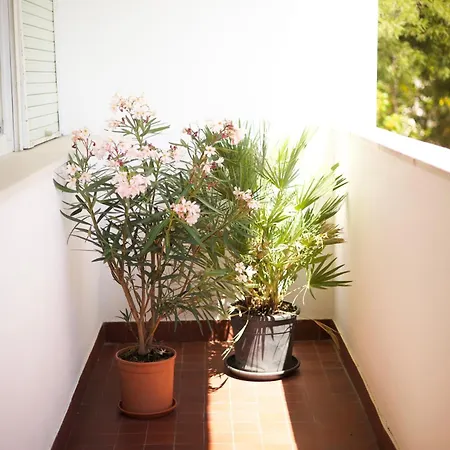 Apartamento Nikolina *